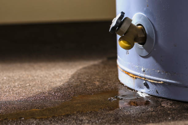Best 24/7 water damage repair  in High Point, FL