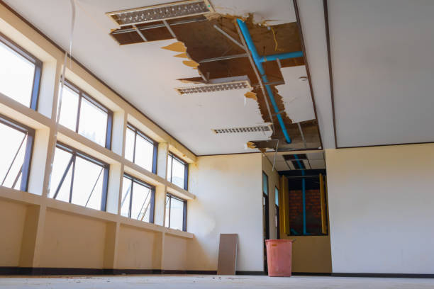Best Water damage restoration insurance claims  in High Point, FL