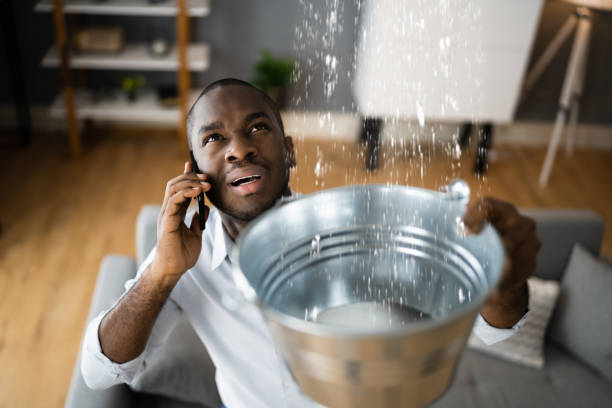 Best Local water damage restoration  in High Point, FL