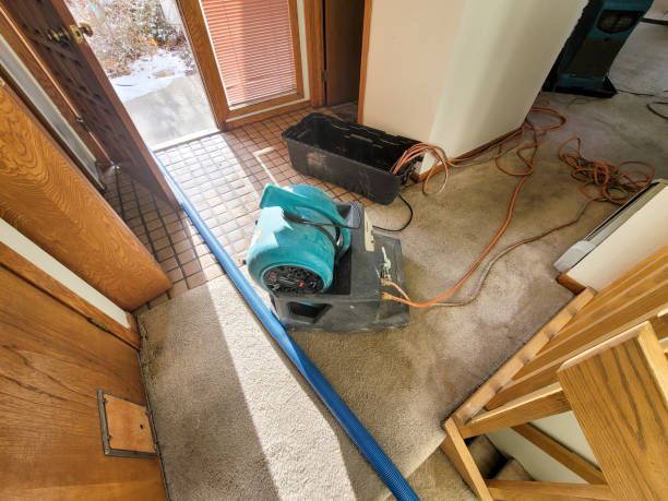 Best Water damage cleanup near me  in High Point, FL