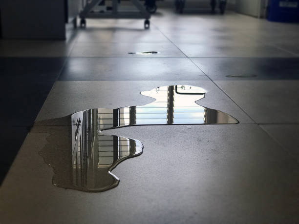 Best Carpet water damage restoration  in High Point, FL