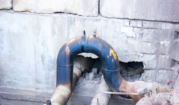 Best Water damage restoration near me  in High Point, FL