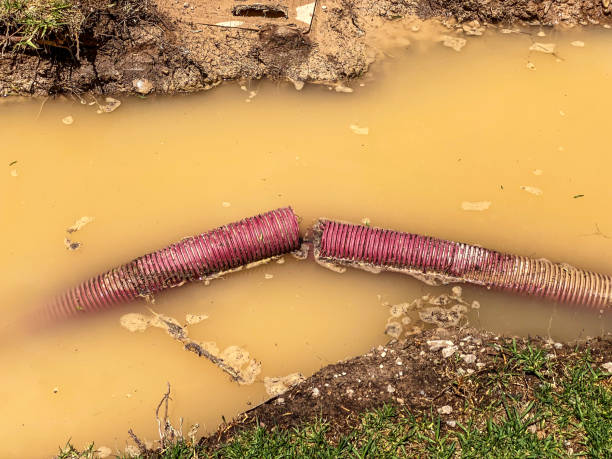 Best Sewage cleanup and water damage restoration  in High Point, FL