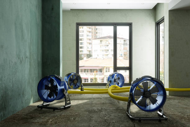 Best Basement water damage restoration  in High Point, FL